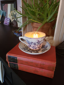 Blue Danube Teacup and Book Lamp